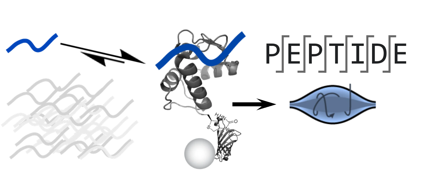 Affinity-selection mass spectrometry: a peptide library is mixed with a target protein, bound peptides are captured, and mass spectrometry reads out their sequences