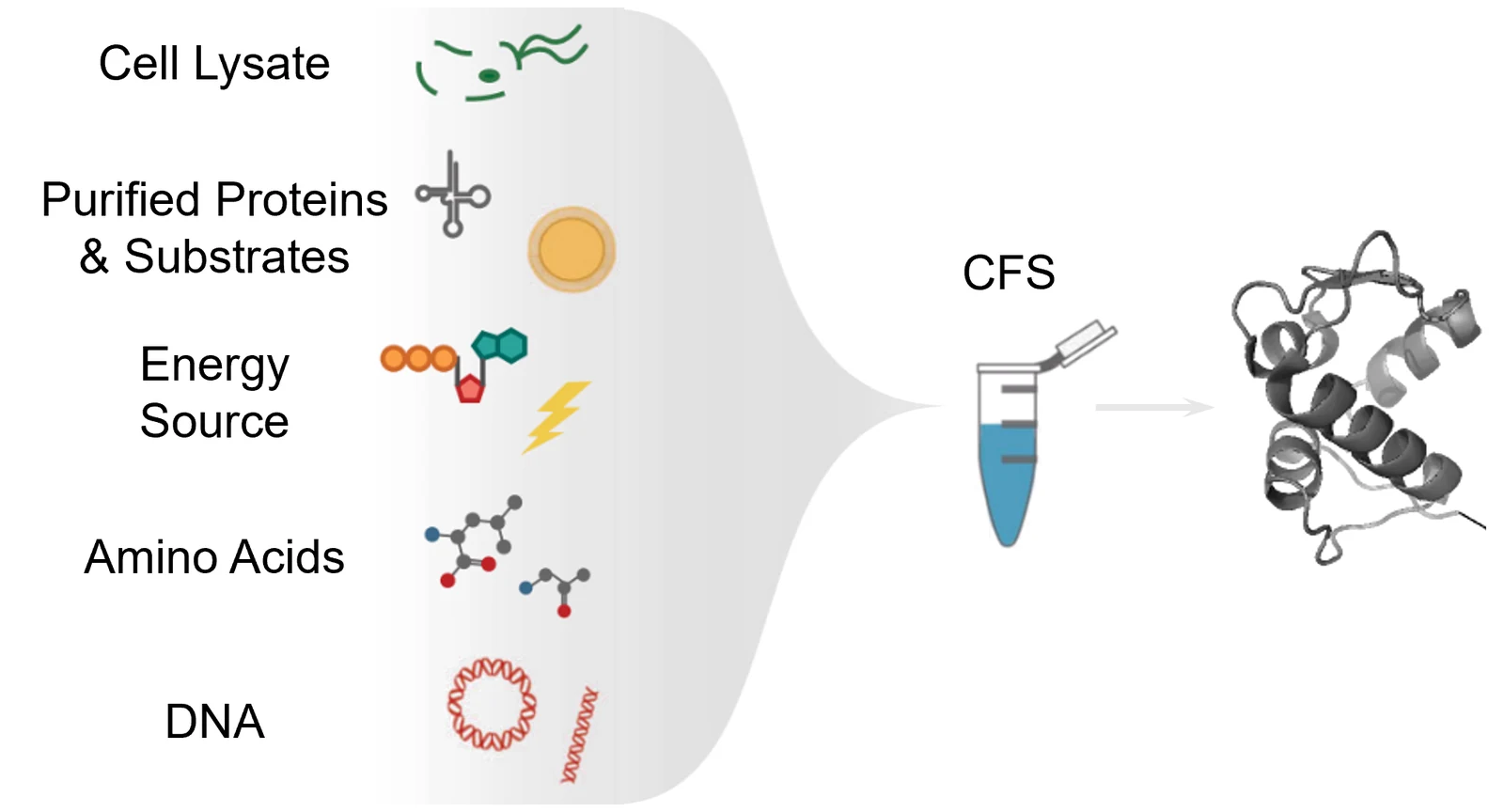Cell-free protein synthesis: cell lysate, purified proteins and substrates, an energy source, amino acids and DNA are combined in a tube to produce the folded protein