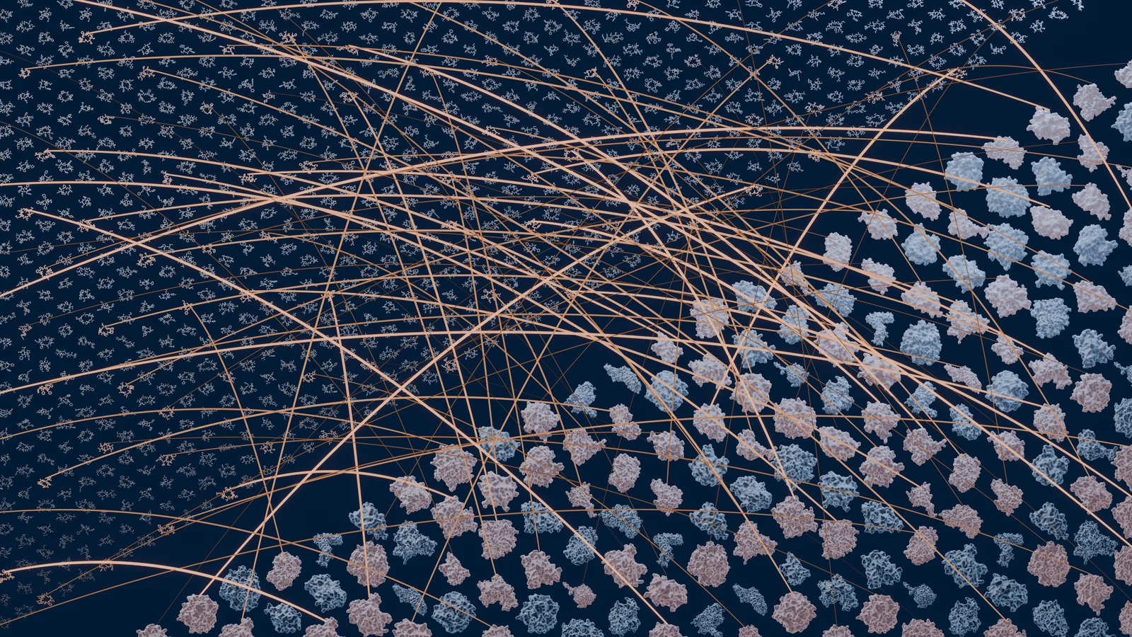 A library of peptide structures on the left connected by lines to a panel of protein surfaces on the right